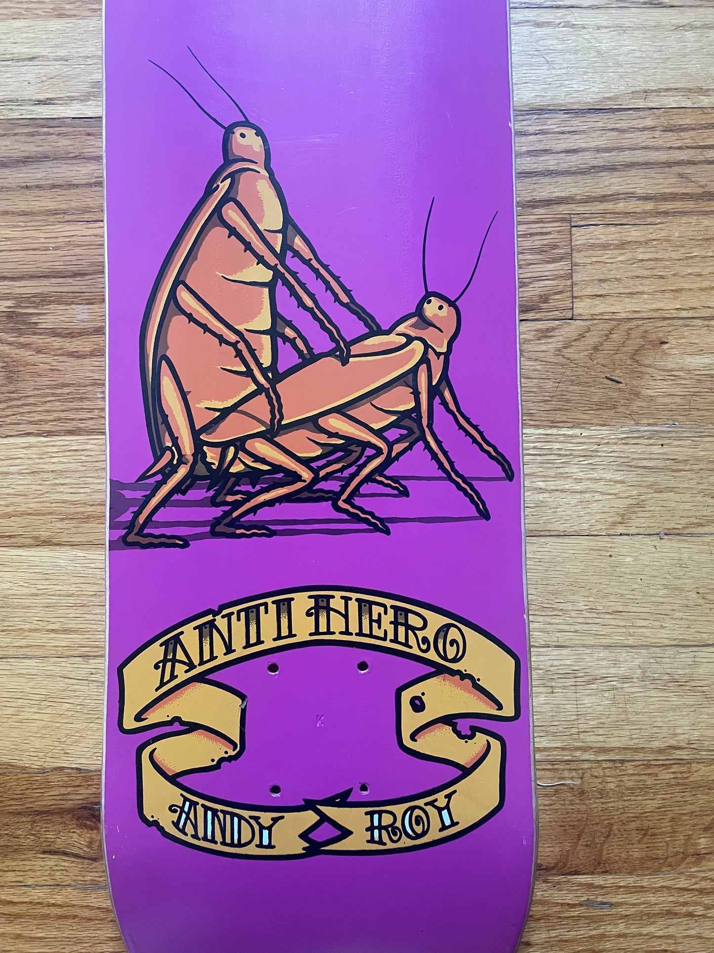 Anti Hero Andy Roy Vintage 1997